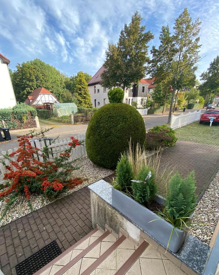 Simply Nice Appartment Borna Bagian luar foto