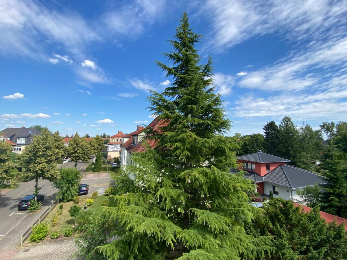 Simply Nice Appartment Borna Bagian luar foto